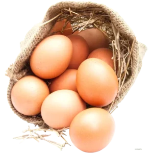 Organic Egg