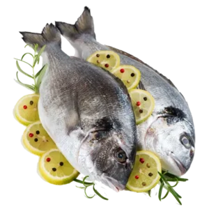 Fresh Fish